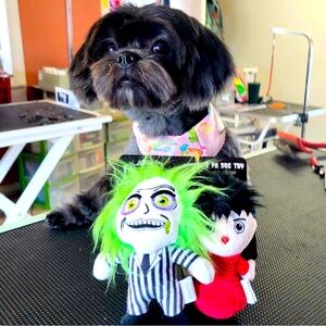 Beetlejuice Dog Toy